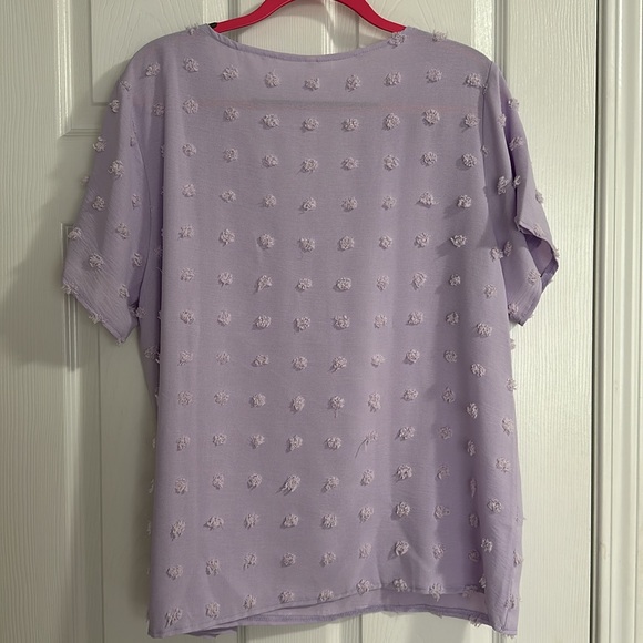 Pom Pom V-neck Short Sleeve Blouse - Picture 3 of 4
